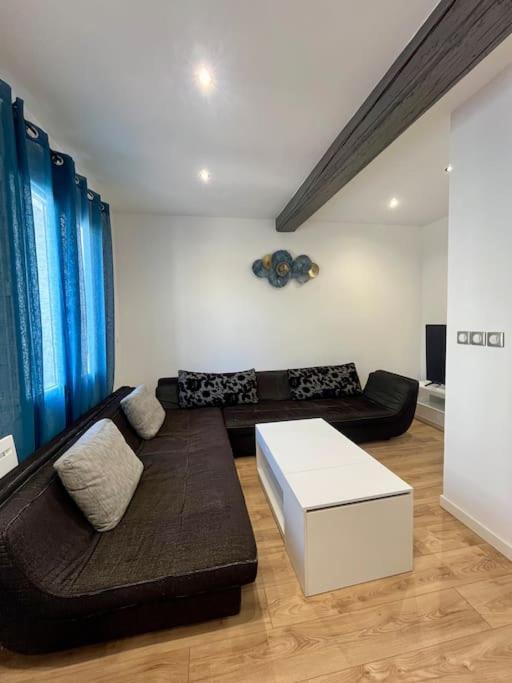T2 Renove A 15 Min De Lyon Apartment Pierre-Benite Ngoại thất bức ảnh